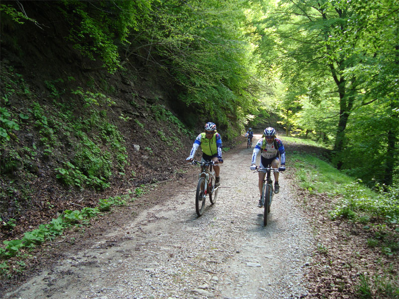 gal/2010/04 - Nel Parco delle foreste Casentinesi - 22 Maggio/04_lama_cancellino/10_sulla-via-del-ritorno.jpg